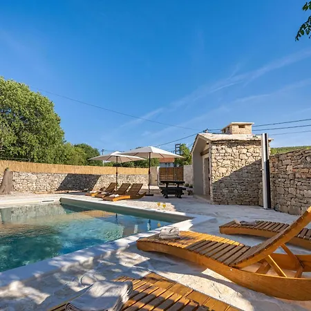 Hedonica House *