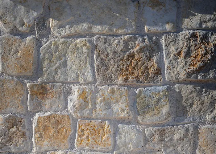 Hedonica House 펜션